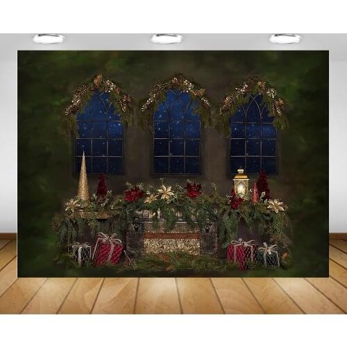 Christmas Window Photography Background Xmas Gift Green Hay Winter Portrait Backdrop for Photo Studio Children Birthday Decor