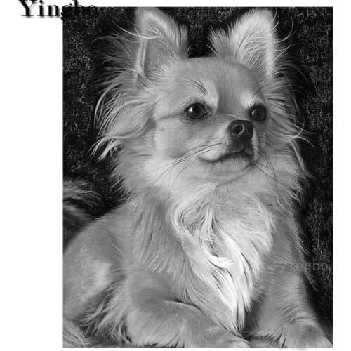 DIY Full Drill Square 5D Diamond Painting kits chihuahua dog Diamond Embroidery Sale Cross Stitch kits rhinestones decoracion