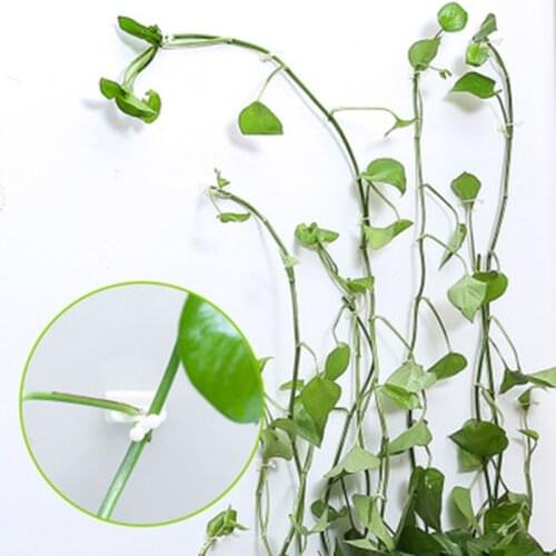 5pcs Wall Climbing Fixer Green Plant Fixer Holder Self-adhesive Hook Invisible Wall Paste No Trace Hook Clip Garden Accessories