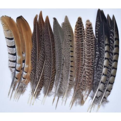 10Pcs Natural Pheasant Feathers for Needlework 15-20cm Crafts Small Feather Decor Handicraft Accessories Plumes Plume Decoration