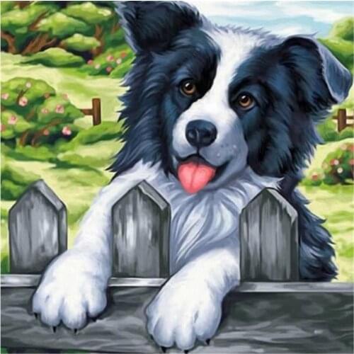 Border Collie Diamond Painting Animal Round Full Drill Nouveaute DIY Mosaic Embroidery 5D Cross Stitch Home Decor Gifts