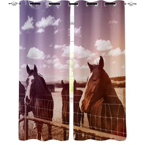 Funny Animals Horse Window Curtains For Living Room Bedroom Home Decoration Panels For Kitchen Kids Curtains