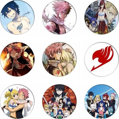 Japan Anime Fairy Tail Natsu Cosplay Badge Lucy Happy Brooch Pins Gray Erza Collection Badges for Backpacks Clothes
