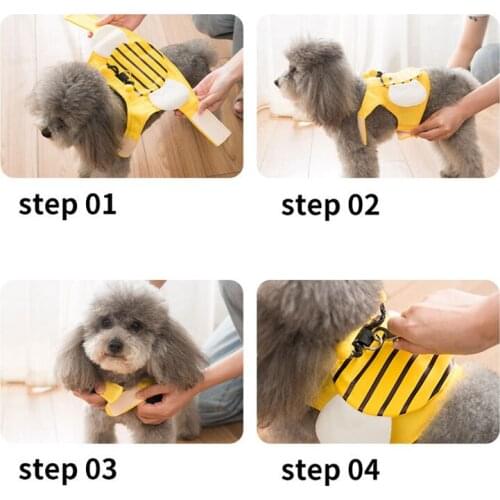 Dog Accessories Cat Accessories Dogs/cat Leash Automatic Retractable Rope Pet Tractor Chain Pets Supplies Walking Xhc88