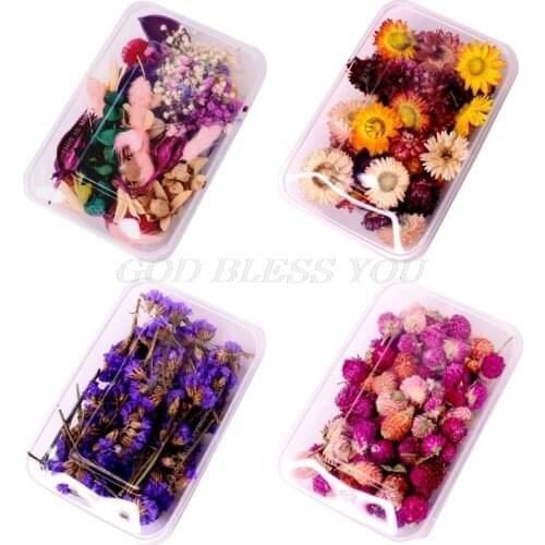 1Box Crystal Epoxy Filler Dry Flower Mixed Nail Stickers Decorations Resin Filling Material Crafts Art Jewelry Making DIY Access