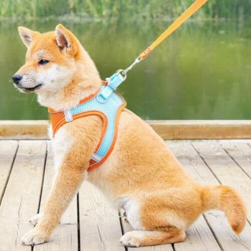 Dog Pet Leash Cat Vest Chest Harness Adjustable Nylon Breathable Reflective Outdoor Walking Dog Chest Strap Kitten