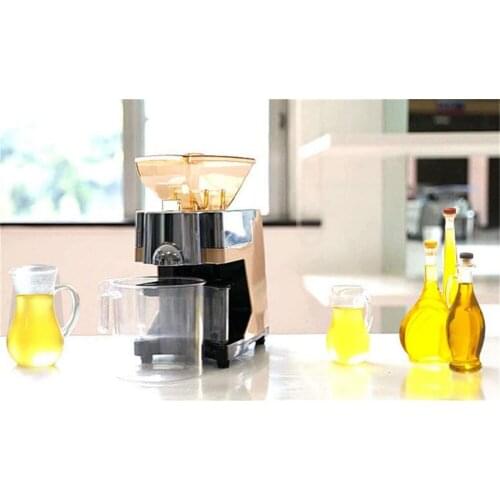 Home Automatic Oil Presser Electric Edible Oil Extractor Seed Peanut Oil Squeezer Oil Pressing machine