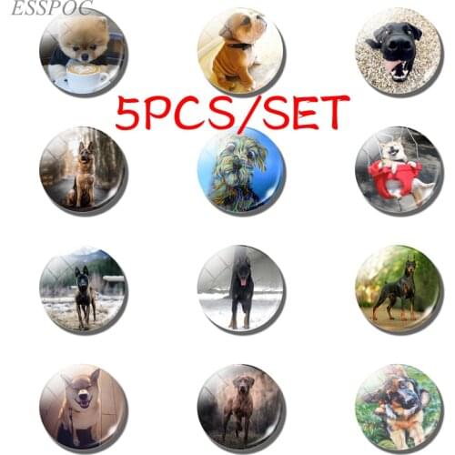 5PCS/SET Fashion Handmade Lovely Dog Animal Pet 25 MM Glass Cabochon Dome Jewelry Making Pendant Love Women Men Gift