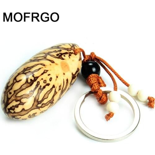 MOFRGO Car Accessories