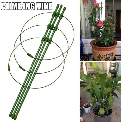Climbing Plant Support Cage Garden Trellis Flowers Stand Rings Tomato Support For Flowers Efficient Garden Buildings Szklarnie