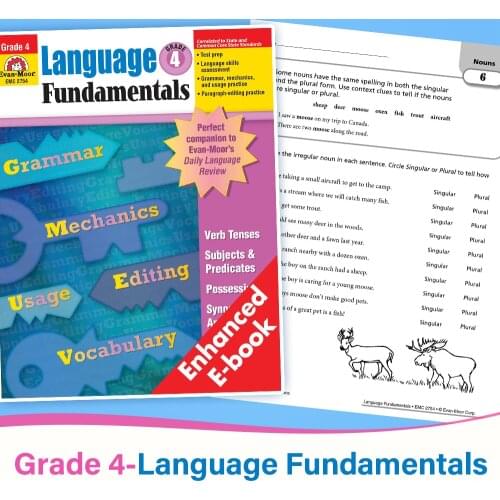 4st Grade Language Arts and Grammar Language FundamentalsChildren Learning English language Painting Exercise books for kids