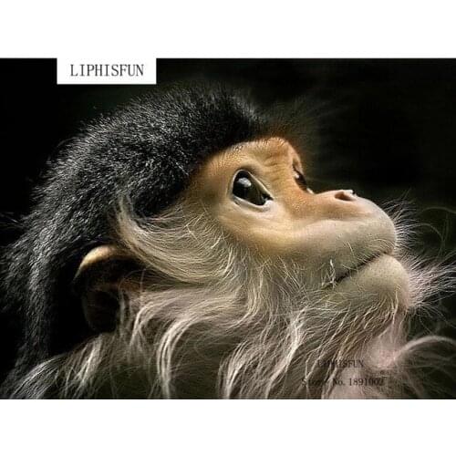 5d Diamond Full Drill Diamond Embroidery Monkey Diamond Cross Stitch Resin Square Diamond Sets Unfinish Home Decor