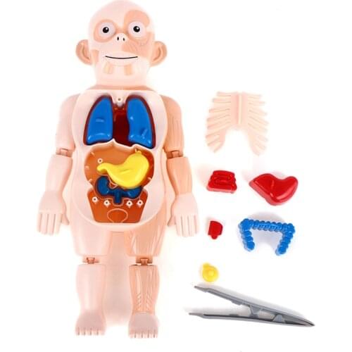 MINIFRUT Montessori Toys