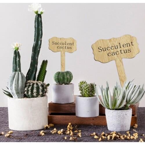 60pcs Rectangle Shape Plant Labels Garden Markers Tags for Nursery Pots Seedling M17D