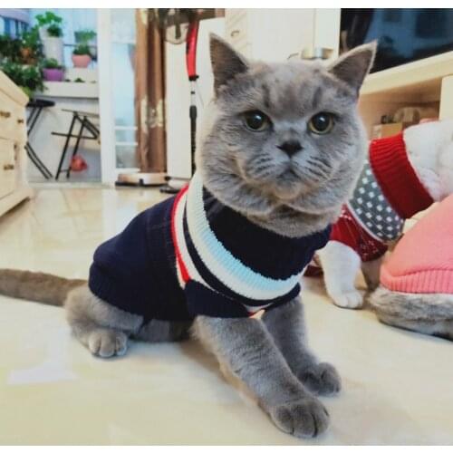 Fashion Stripe Pet Cat Sweater Hoodies Winter Warm Cat Clothes For Cats Kedi Coat Katten Clothing Outfit Cats Products For Pets