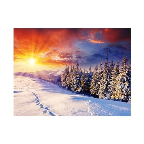 A13518 11CT/14CT/18CT/25CT/28CT christmas man patterns Counted Cross Stitch DIY Cross Stitch Kits Embroidery Needlework Sets