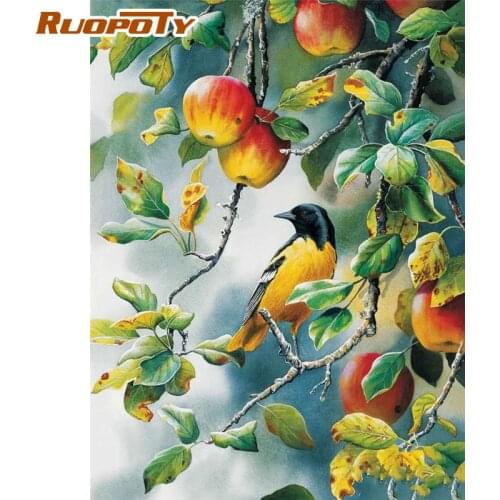 RUOPOTY 60x75cm Frame Painting By Numbers Brids Animals Picture By Numbers Acrylic Paint On Canvas Home Decors Artcraft Diy Kits