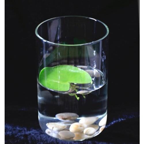 VIV Hydroponic Cylinder Small Natural Aquarium VIV Official flagship store