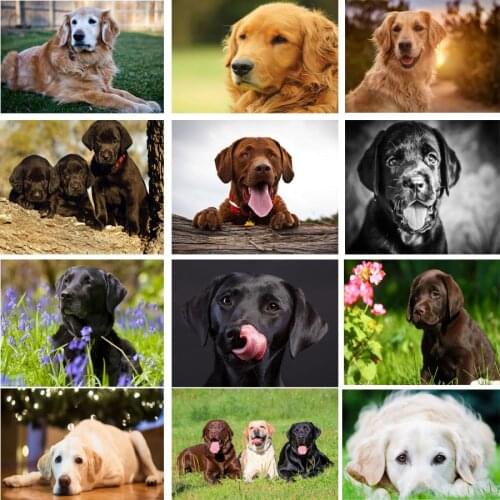 5D DIY Diamond Painting Labrador Picture Cross Stitch Needlework Embroidery Dog Full Diamond mosaic Rhinestone painting Decor
