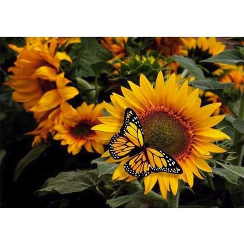 Full Square/round 5D DIY Diamond Painting Sunflower butterfly Diamond Embroidery Sale pictures of Rhinestones Mosaic Decor AZ624