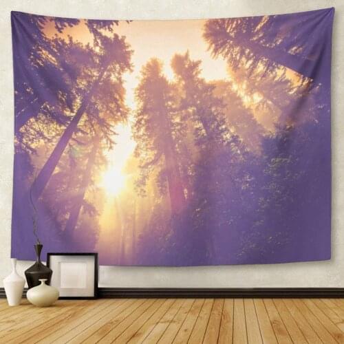California Misty Forest Trail Magic Redwood Scenery in Warm Vintage Color Grading Landscape Forestry Tapestry Wall Hanging