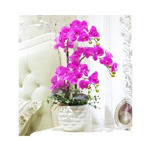 Simulation of Phalaenopsis flowers floral decor decoration room set indoor potted orchids
