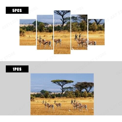 Antelopes savannah wild life nature animal landscape living room home modern decor Canvas poster