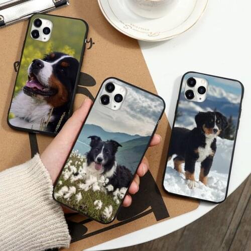Bernese Mountain Dog high quality Phone Case for iPhone 11 12 pro XS MAX 8 7 6 6S Plus X 5S SE 2020 XR