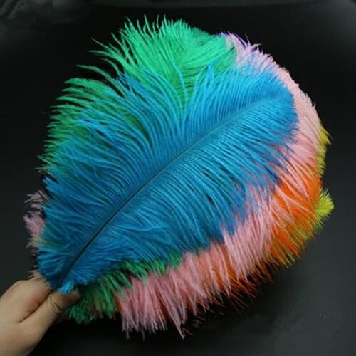 Wholesale Ostrich Feathers 10Pcs/lot 15-20CM DIY Jewelry Making Wedding Party decoration plumes and feathers for crafts