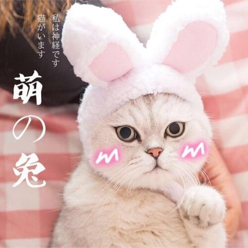 Pet Kitten Headgear Cute Rabbit Ears Headgear Small Animal Hat Christmas Role-playing Pet Decoration Pet Clothing Supplies