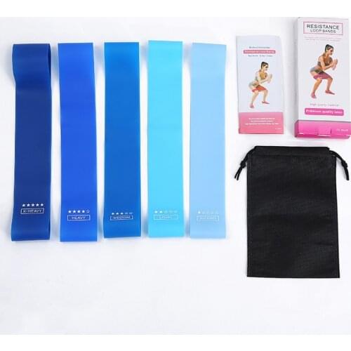 5PCS Blue Elastic Bands For Fitness Resistance Bands Exercise Gym Strength Training Fitness Gum Pilates Sport Workout Equipment