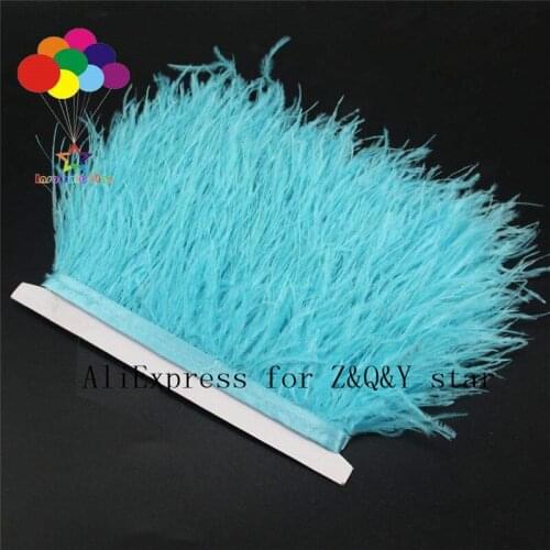 Z&Q&Y natural beautiful ostrich hair dyed into shallow lake blue made into cloth edge DIY clothing ornament crafts feather