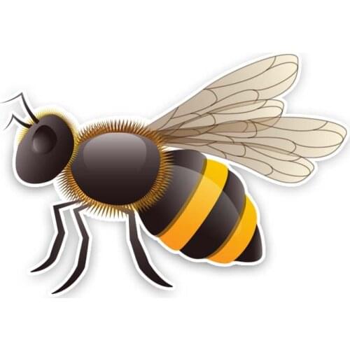 New Bee Vinyl Decal Modelling Car Sticker Warning Cover scratches Car-Sticker Decals for Bumper Other Vehicle 15*10cm