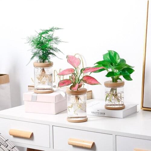Lazy Transparent FlowerPot Hydroponics Automatic Water Intake Plastic FlowerPot Groundless Plants Pot Plants