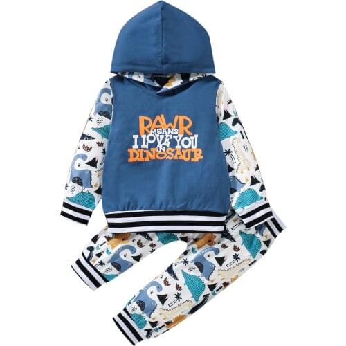 6M-3Y Toddler Infant Baby Girls Boys Clothes Cotton Dinosaur Print Hooded Sweatshirt+Pants Outfits Set зимняя одежда для детей