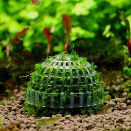 Moss Ball Live Aquarium Plant Algae Pet Fish Shrimp Tank Ornament Happy Environmental Green Seaweed Ball Filtration Decor Marimo