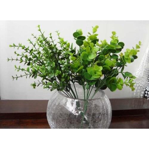 Eucalyptus eucalyptus plants simulation plants decorative photos direct broadcast props set gardening scenery small fresh flower
