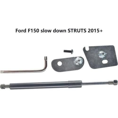 For Ford F150 pickup truck tail damper 2015 + with accessories