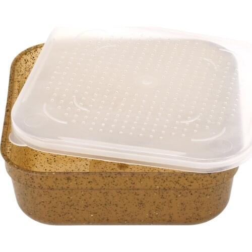 Fishing Tackle Box Small Large Plastic Fishing Live Bait Case Worm Earthworm Storage Box Fishing Accessories