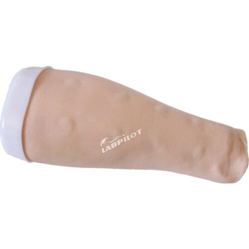 Advanced Arm Intradermal Injection Model