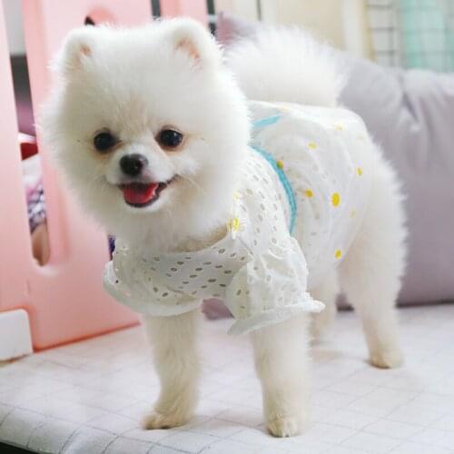Summer Daisy Flower Gauze Dog Dress Puff Sleeve Hollow Out Skirt Pet Puppy Clothes Bowknot Princess Dresses for Dogs and Cats