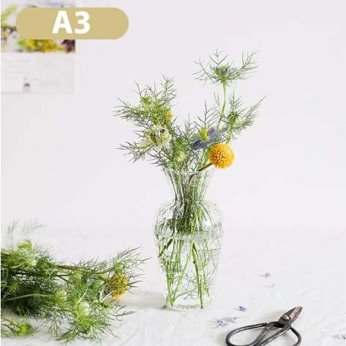 Transparent Flower Vase Borosilicate Glass Hydroponic Vase Tabletop Ornaments Flower Container Plants Holder Living Room Decor