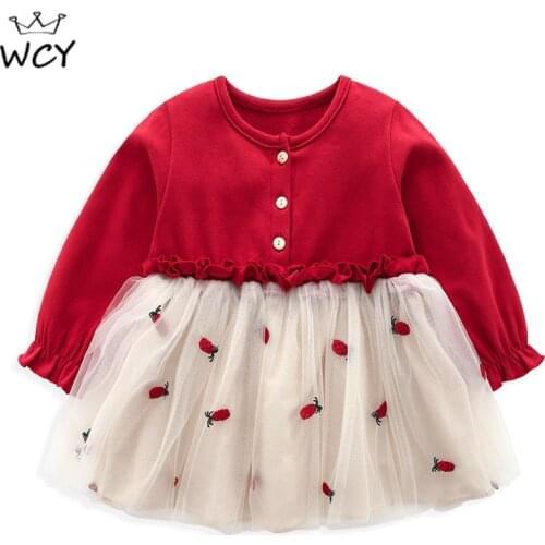 Spring Winter Baby Girls Dress Long Sleeve A Line Korean Princess Dress for Girls Red Lace Mesh Pineapple Embroidery Girls Dress