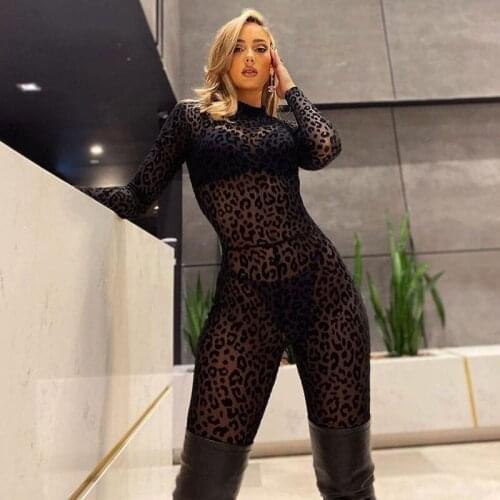 Imcute Animal Instinct Mesh Bodystocking Leopard See Through Velour Long Sleeve Rompers Womens Jumpsuit Sexy Midnight Clubwear
