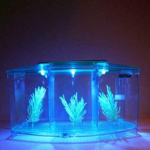 Mini Fish Tank Aquarium Fish Aquarium Tank LED Light Divider Filter Water