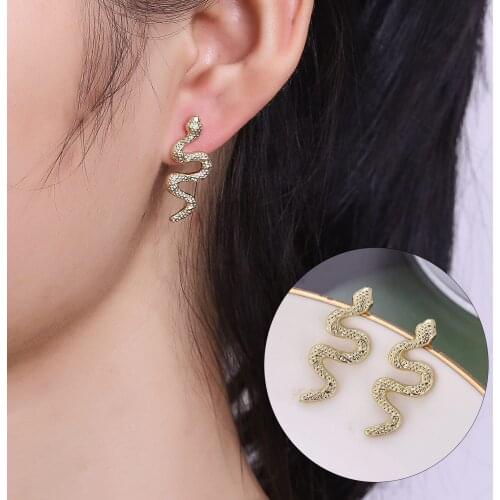Trendy Mini Animal Snake Earrings for Women Jewelry 2020 New Fashion Punk Exaggerated European Cool Retro Ear Stud Female E710