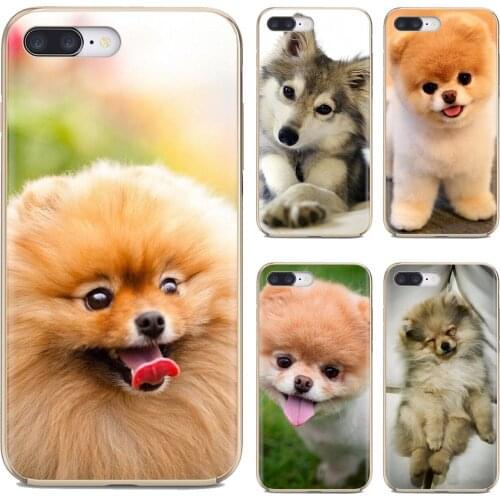 Adorable Silicone Phone Case Pomeranian dog dogs For Xiaomi mi Redmi Note 3 4 4X 5 6 7 8 8t 9 9s 9t 10 pro lite
