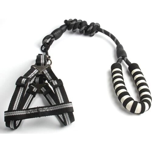 Adjustable Nylon Dog Leash and Harness Set Small Dogs Cats Dog Chest Straps Traction Rope Pet Leash Belt Pet supplies