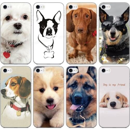 Funda Animal Pet dog Phone Case For UMIDIGI Bison GT A7S A3X A3S A3 A5 S3 A7 S5 A9 Pro F2 F1 Play Power 3 X One TPU Soft Cover