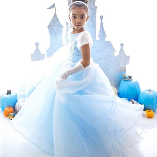 Princess Dresses Costumes Pageant Ball Gown Halloween Christmas Party Children Clothing
